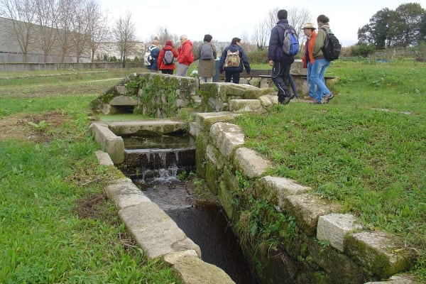 Foto 71 da atividade Galeria de Fotos