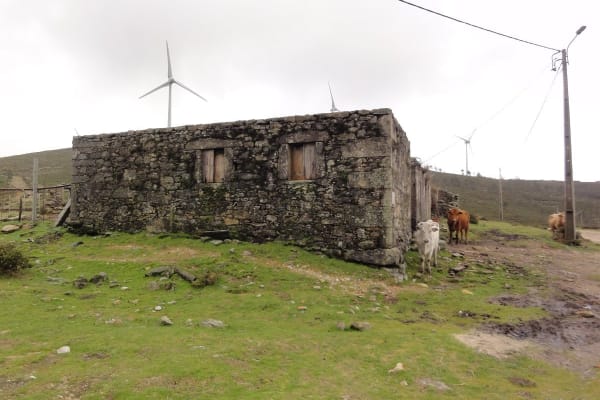 Foto 91 da atividade Galeria de Fotos