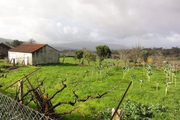 Foto 86 da atividade Galeria de Fotos