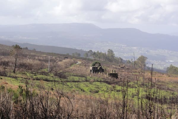 Foto 87 da atividade Galeria de Fotos