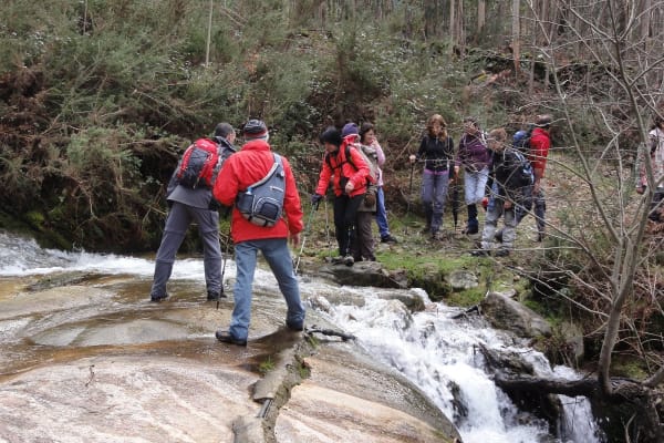 Foto 76 da atividade Galeria de Fotos