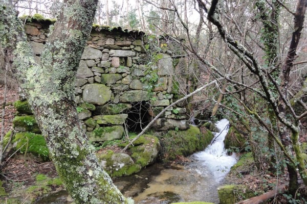 Foto 49 da atividade Galeria de Fotos