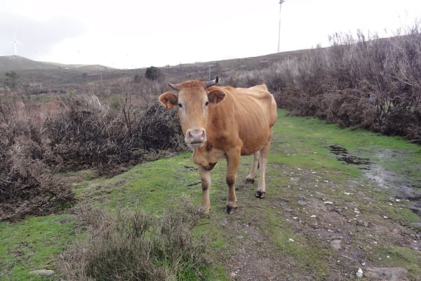 Foto 23 da atividade Galeria de Fotos