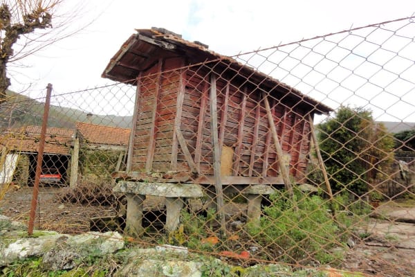 Foto 21 da atividade Galeria de Fotos