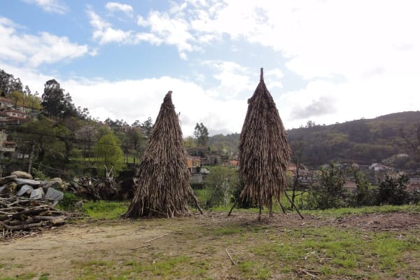 Foto 92 da atividade Galeria de Fotos