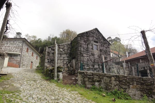 Foto 90 da atividade Galeria de Fotos