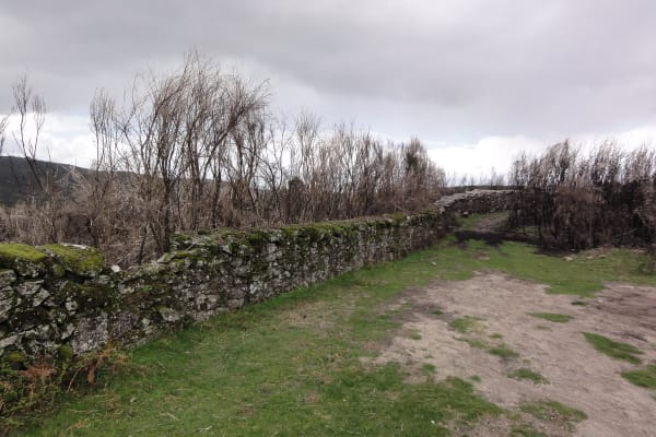 Foto 77 da atividade Galeria de Fotos