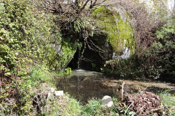 Foto 51 da atividade Galeria de Fotos