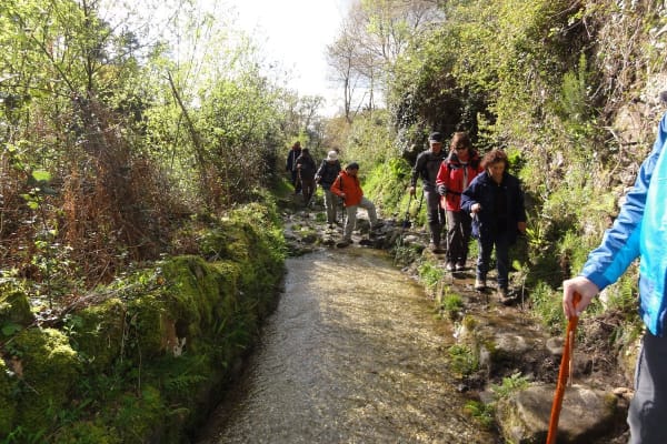 Foto 38 da atividade Galeria de Fotos