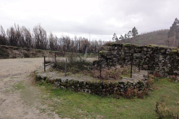 Foto 35 da atividade Galeria de Fotos