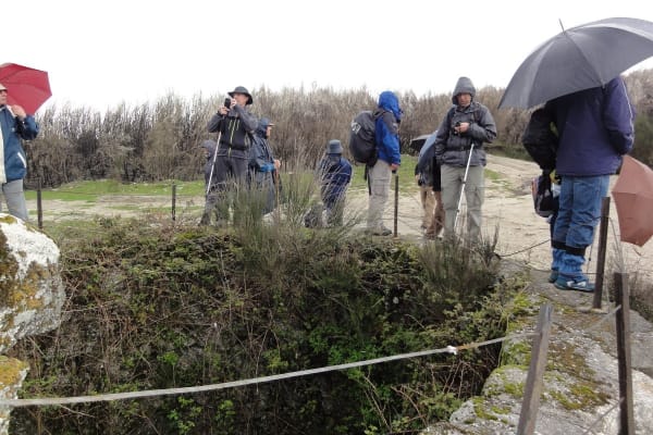 Foto 23 da atividade Galeria de Fotos