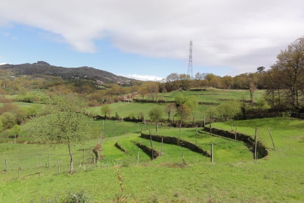 Foto 1 da atividade Galeria de Fotos