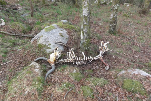 Foto 50 da atividade Galeria de Fotos