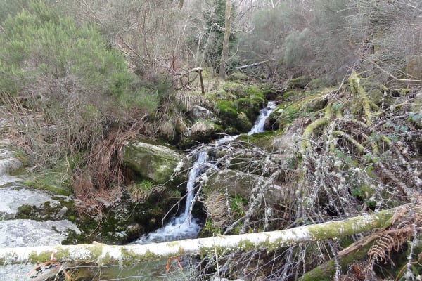 Foto 46 da atividade Galeria de Fotos