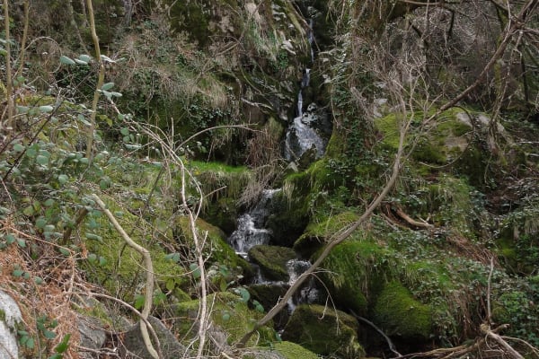 Foto 11 da atividade Galeria de Fotos