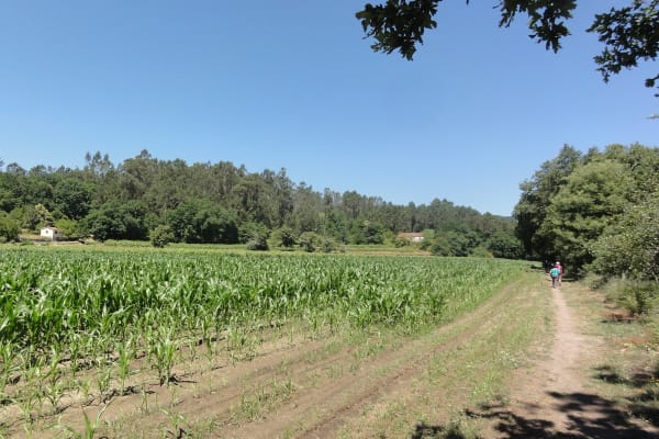 Foto 126 da atividade Galeria de Fotos