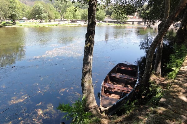 Foto 105 da atividade Galeria de Fotos