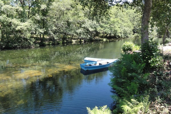 Foto 96 da atividade Galeria de Fotos