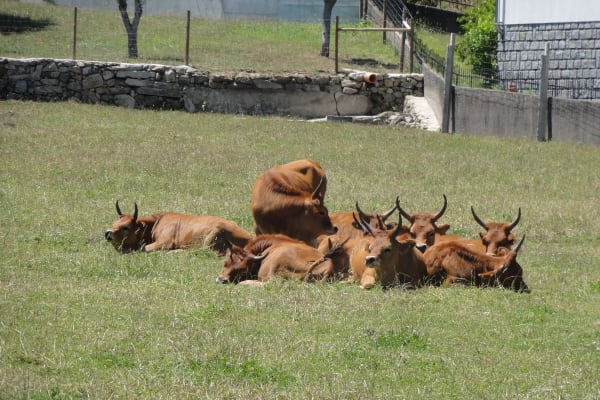 Foto 83 da atividade Galeria de Fotos