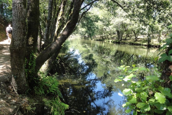 Foto 77 da atividade Galeria de Fotos