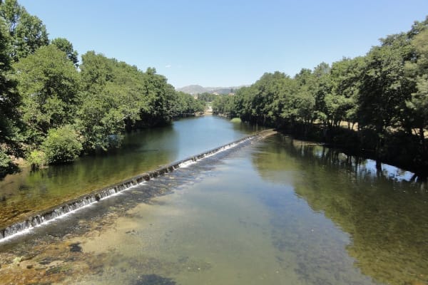 Foto 40 da atividade Galeria de Fotos