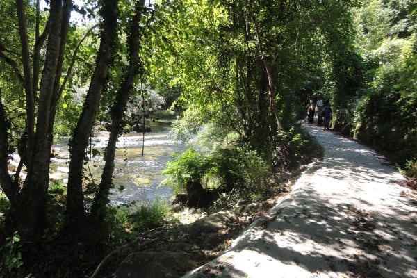 Foto 18 da atividade Galeria de Fotos