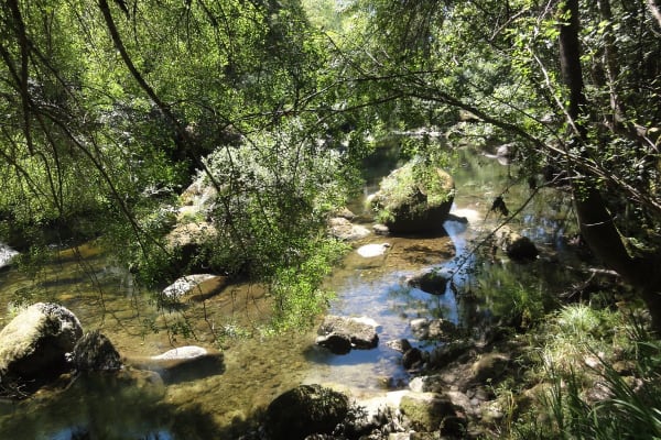 Foto 12 da atividade Galeria de Fotos