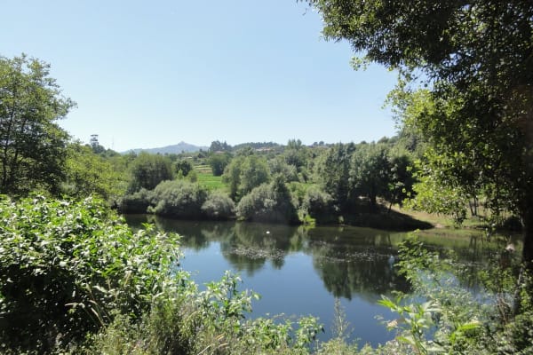 Foto 8 da atividade Galeria de Fotos