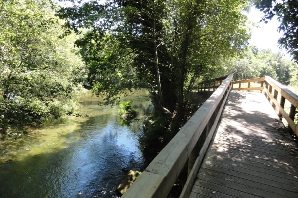 Foto 9 da atividade Galeria de Fotos