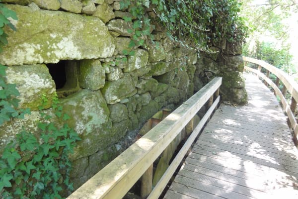 Foto 4 da atividade Galeria de Fotos