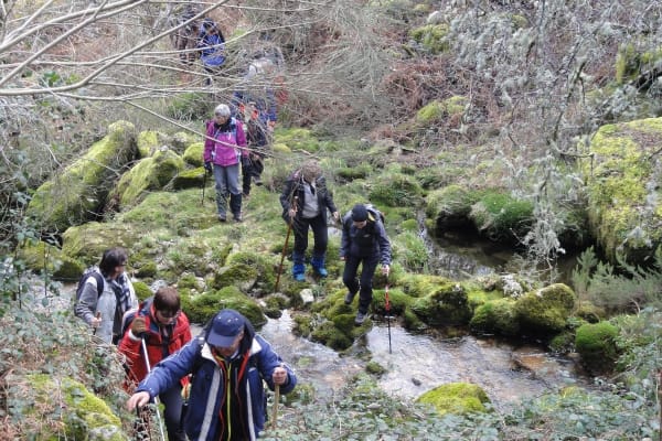 Foto 7 da atividade Galeria de Fotos