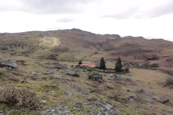 Foto 8 da atividade Galeria de Fotos