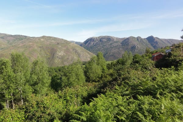 Foto 109 da atividade Galeria de Fotos