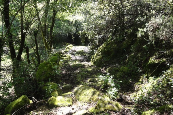 Foto 95 da atividade Galeria de Fotos