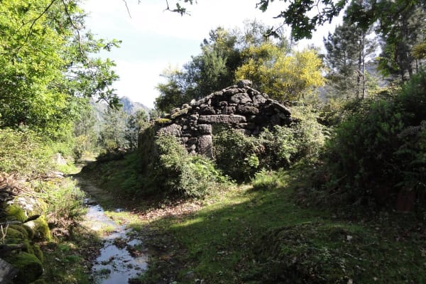 Foto 92 da atividade Galeria de Fotos