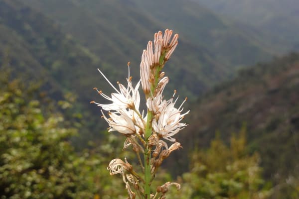 Foto 57 da atividade Galeria de Fotos