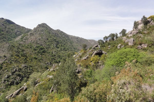 Foto 25 da atividade Galeria de Fotos