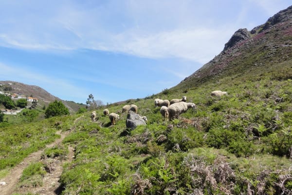 Foto 24 da atividade Galeria de Fotos