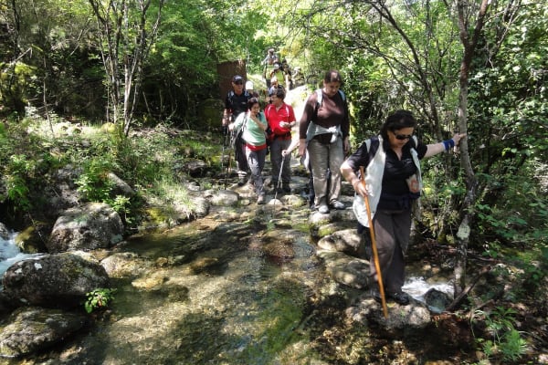 Foto 19 da atividade Galeria de Fotos