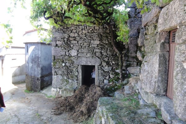 Foto 16 da atividade Galeria de Fotos