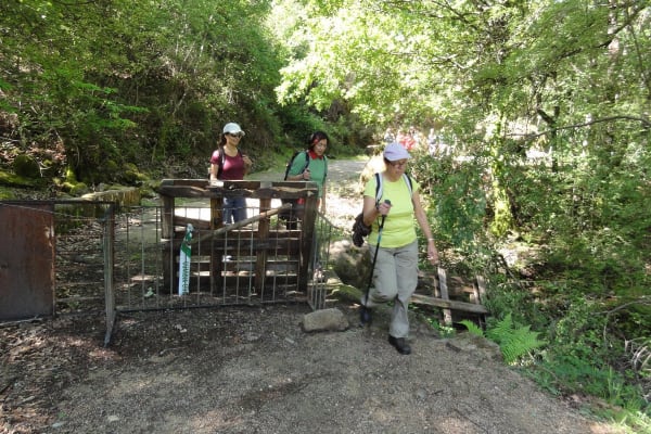 Foto 11 da atividade Galeria de Fotos