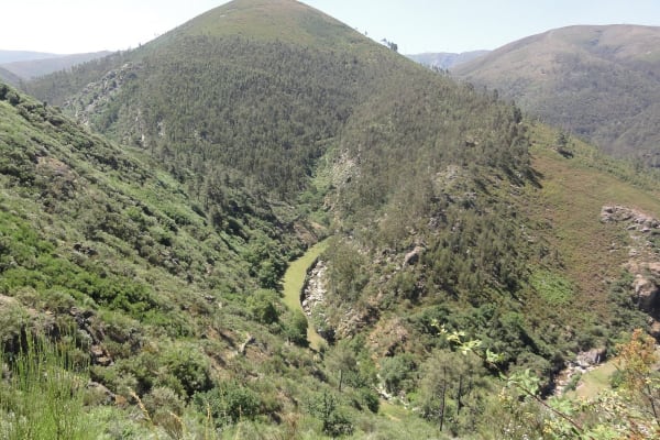 Foto 98 da atividade Galeria de Fotos