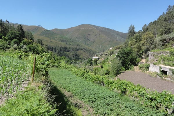 Foto 94 da atividade Galeria de Fotos