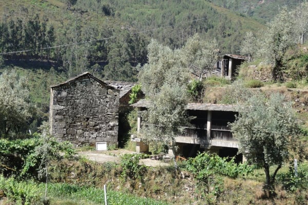 Foto 84 da atividade Galeria de Fotos