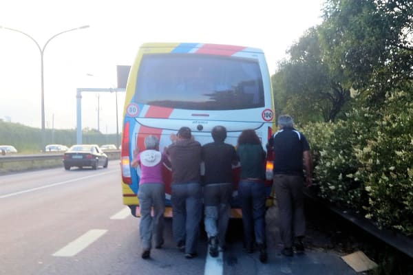 Foto 81 da atividade Galeria de Fotos