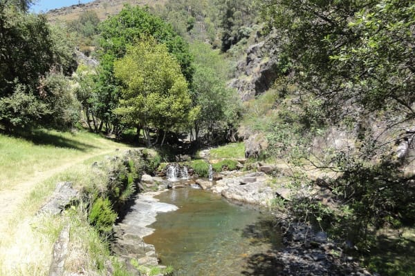 Foto 76 da atividade Galeria de Fotos