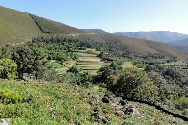 Foto 75 da atividade Galeria de Fotos