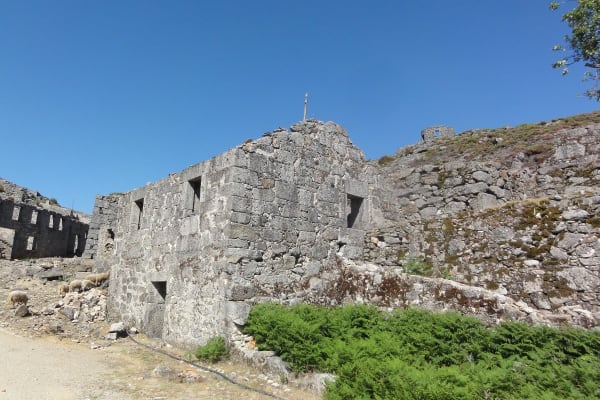 Foto 69 da atividade Galeria de Fotos