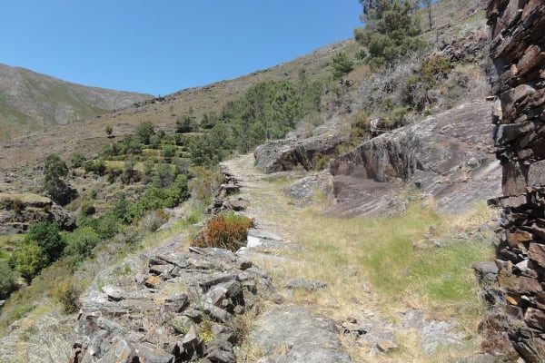 Foto 66 da atividade Galeria de Fotos