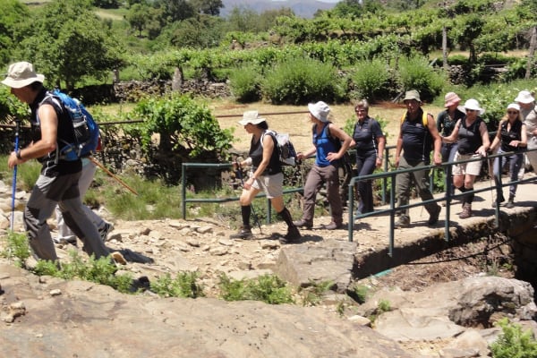 Foto 13 da atividade Galeria de Fotos